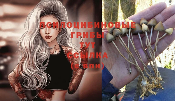 каннабис Ладушкин