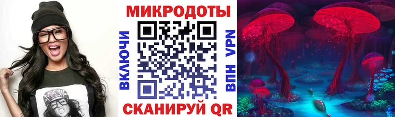 Галлюциногенные грибы мицелий  Купить где  Ардатов 